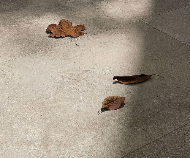 Stone Vision