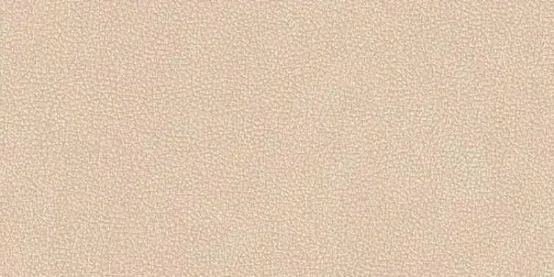 Cuir Beige Nat.3D 60x120