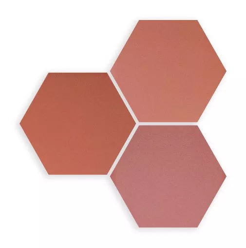 Coral Hexa 14x16