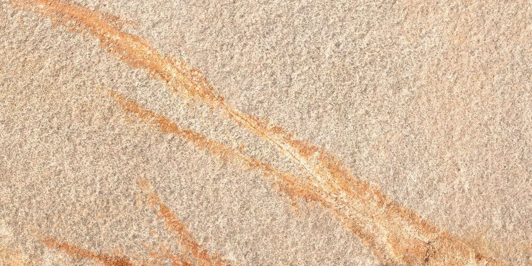 Barge Beige 20.3x40.6