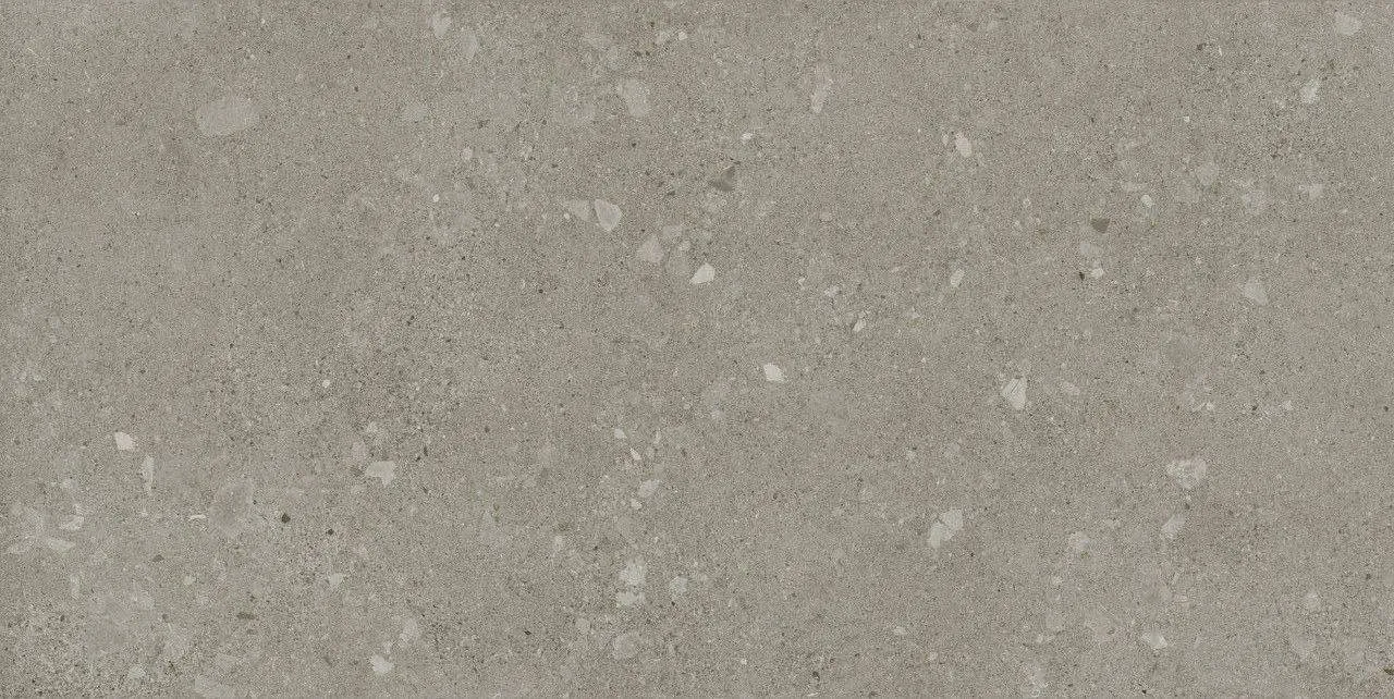 Agglomerate Dark Matt 60x120