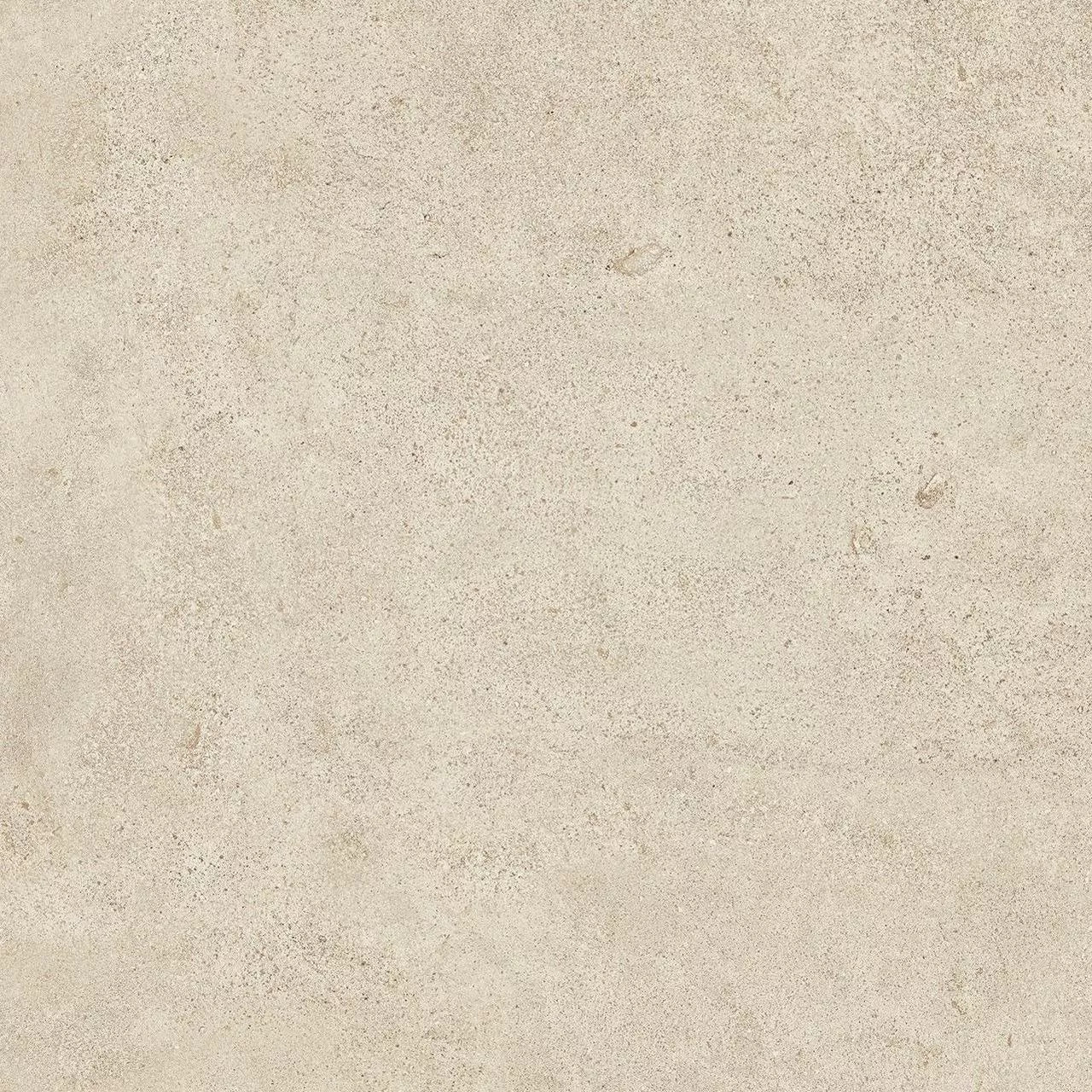 Camel Matt Sensitech 60x60