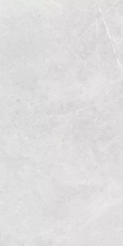 P.E. Pul Light Grey Rect. 59x119