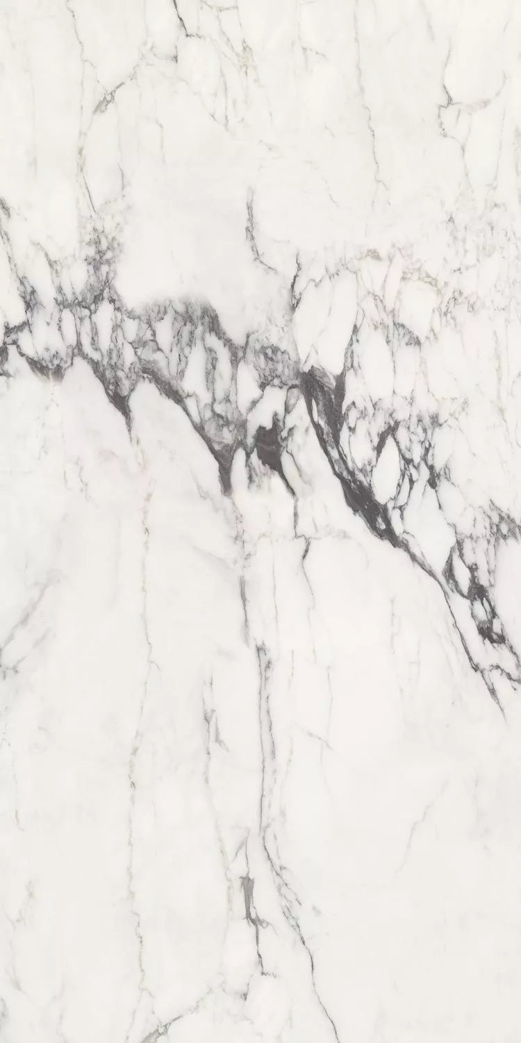 Michelangelo glossy 90x180