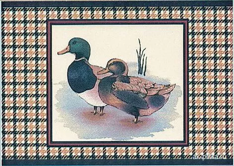 Canard B 15x20