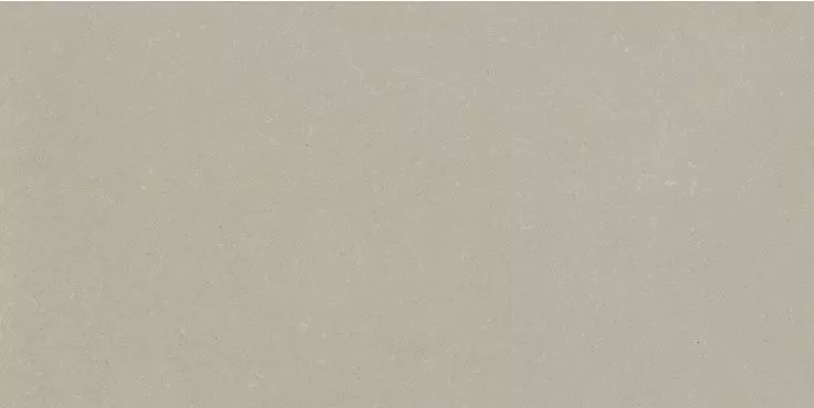 Bone Brushed Mate Rect 60x120