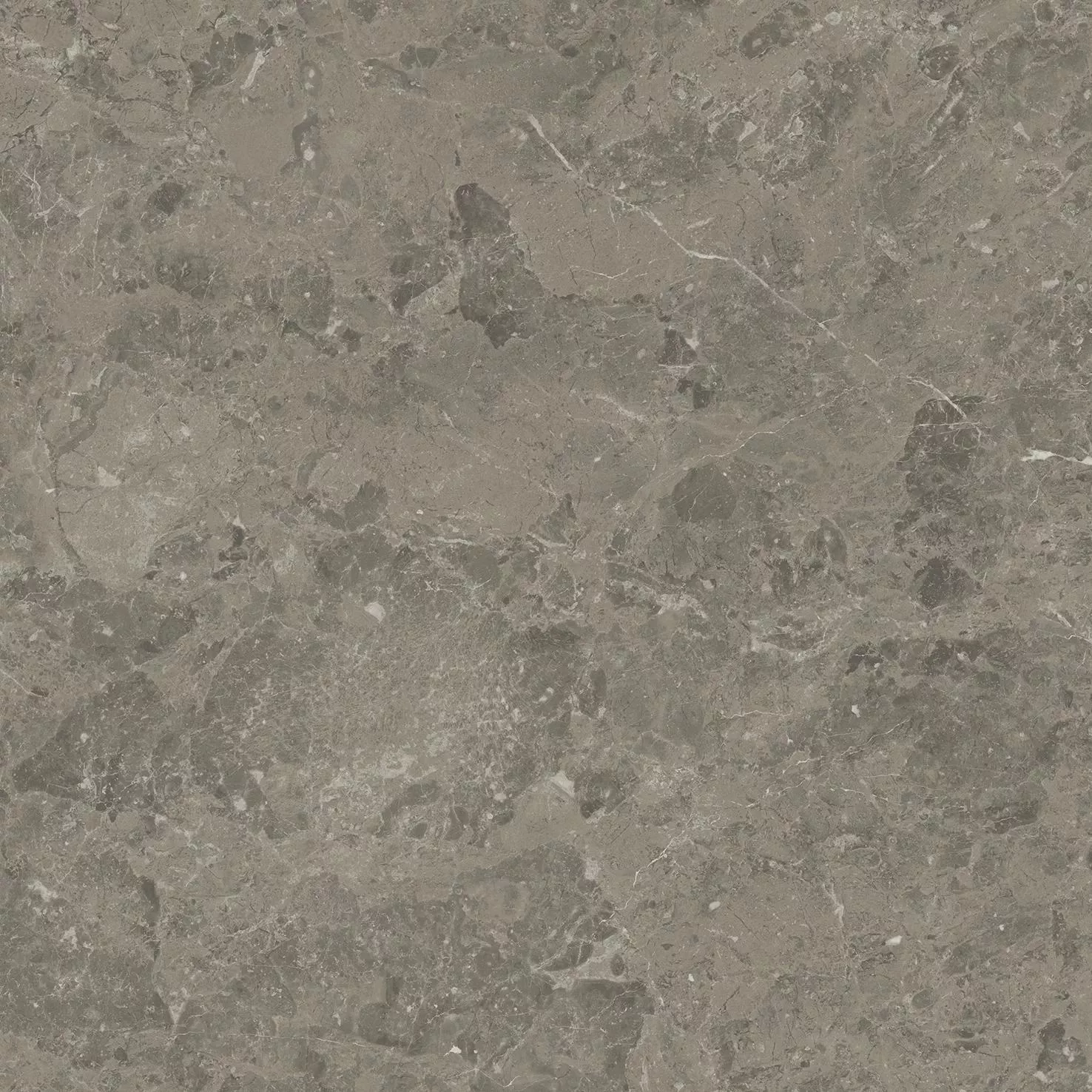 Grigio Elegante Lapp. 60x60