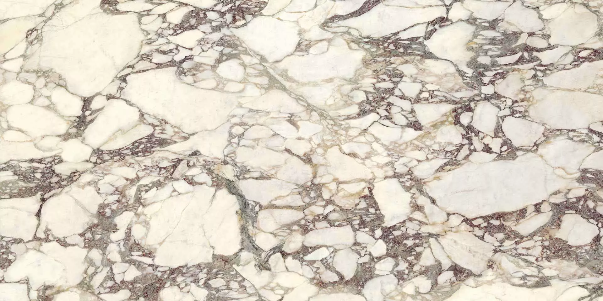 Breccia Medicea Lucido 150x300