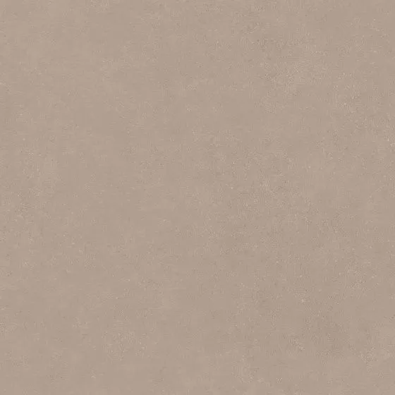 Taupe 120x120