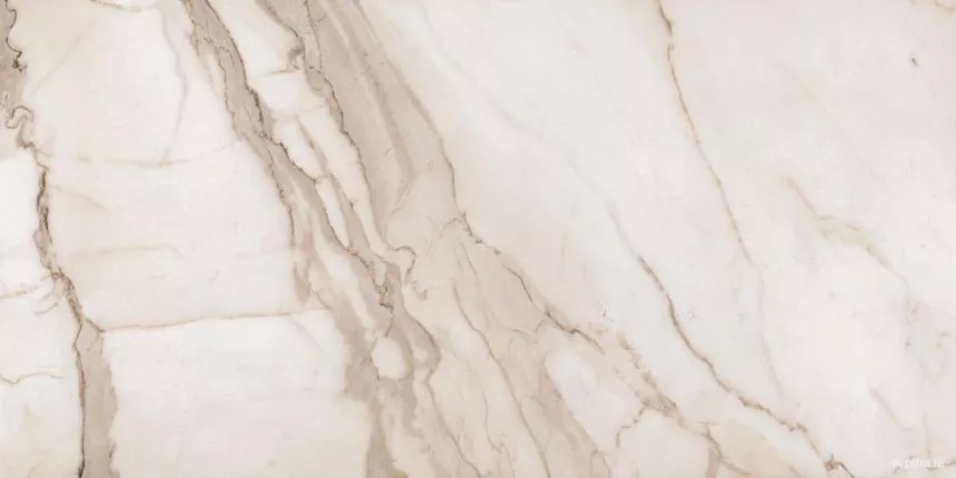 Golden Calacatta Lux+ 60x120