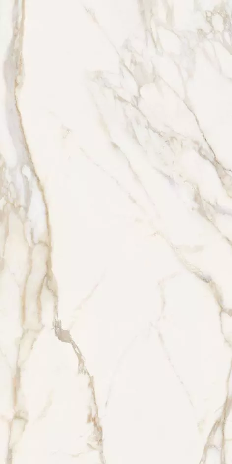 MAGNIFICENT CALACATTA N-R 60x120