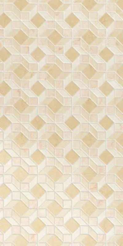 NETWORK AN3 R 60x120