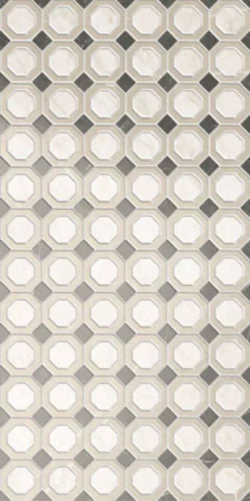 OCTAGON AN3 R 60x120