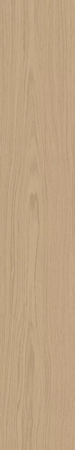 Sheer Matt RT 20x120