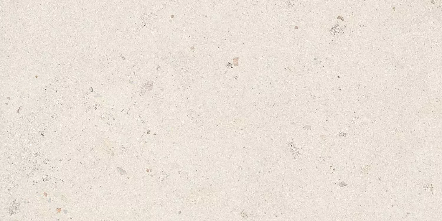 Shell6 12 60x120
