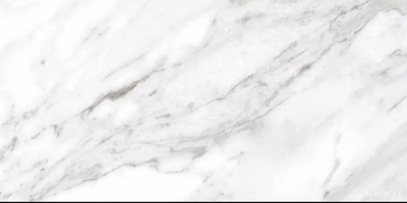 North White Gloss 49,1x98,2
