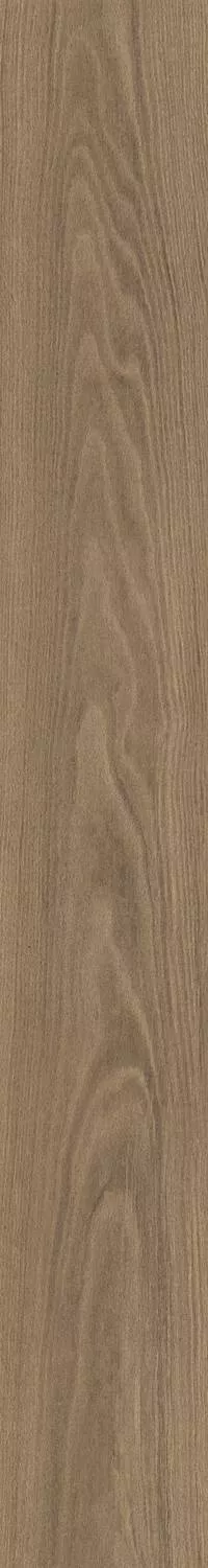 Douglas6 2015 20x150