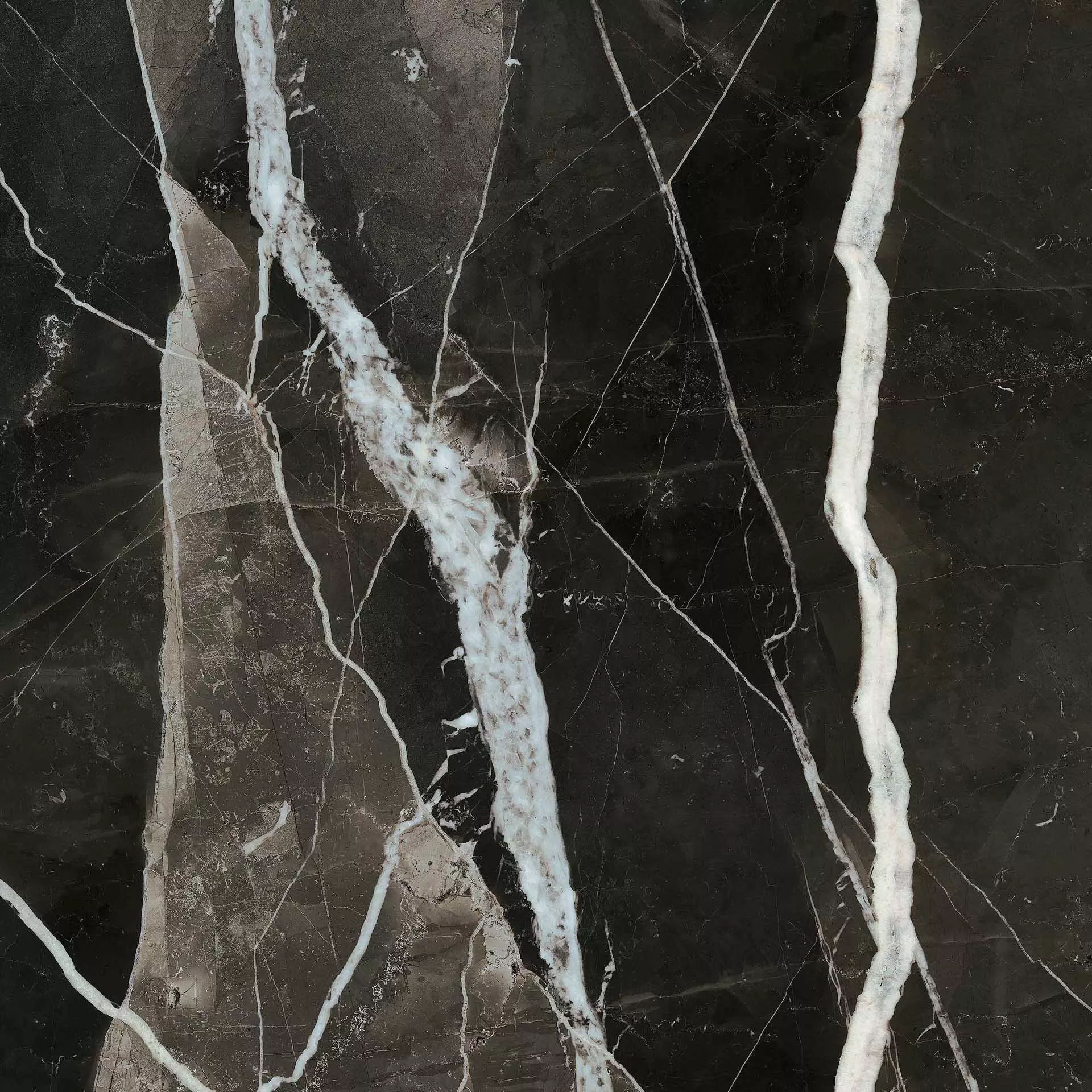 Calacatta Black Lucidato 120x120