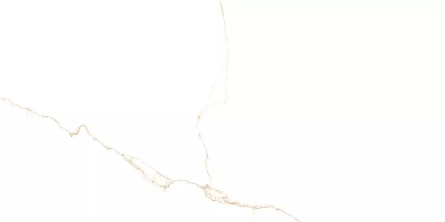 GOLD luxglass 60x120