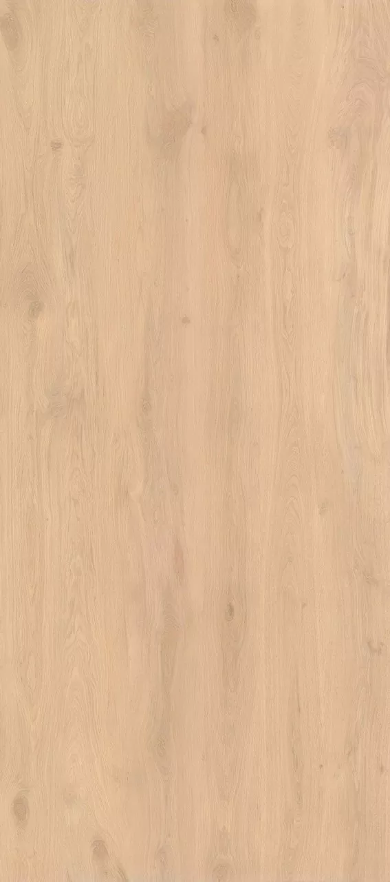 Bright Oak Matt 120x278