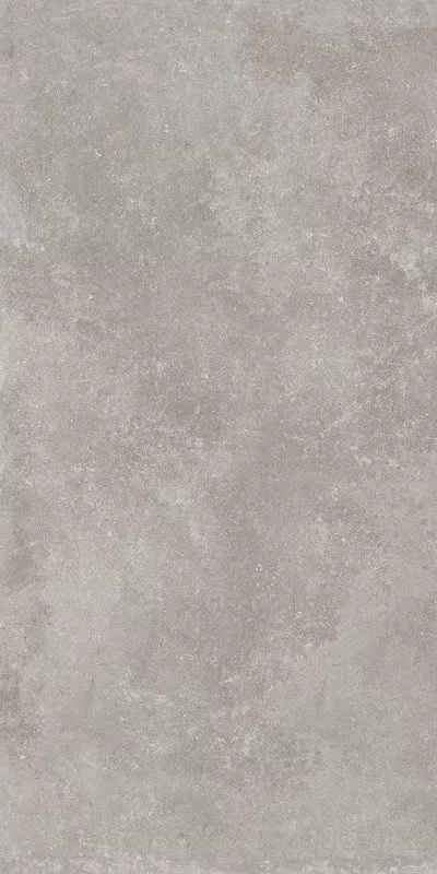 Light Grey Rett. 60x120