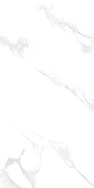 Calacatta White Satin Matt 60x120