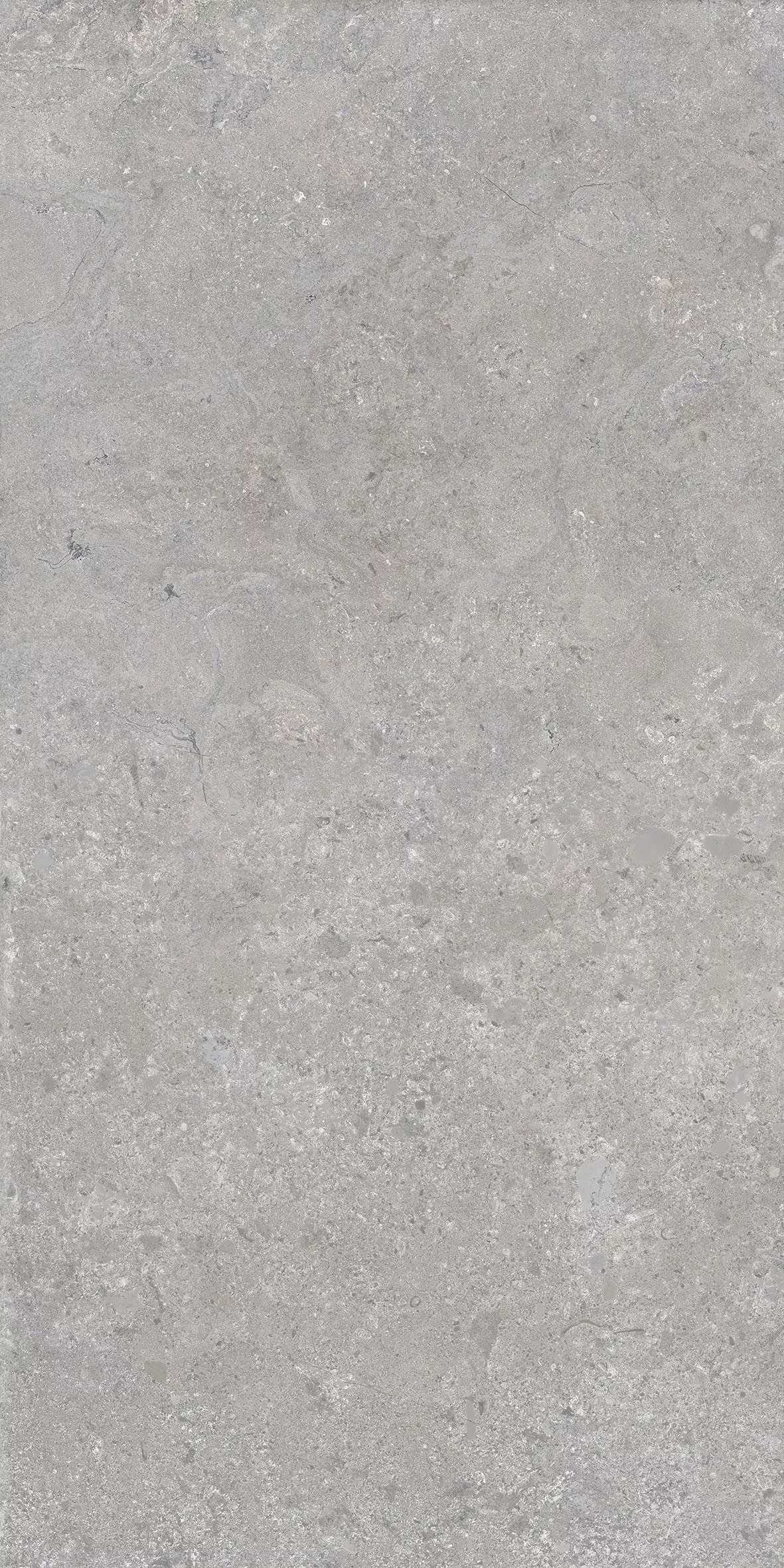 Powder 60x120 Rett