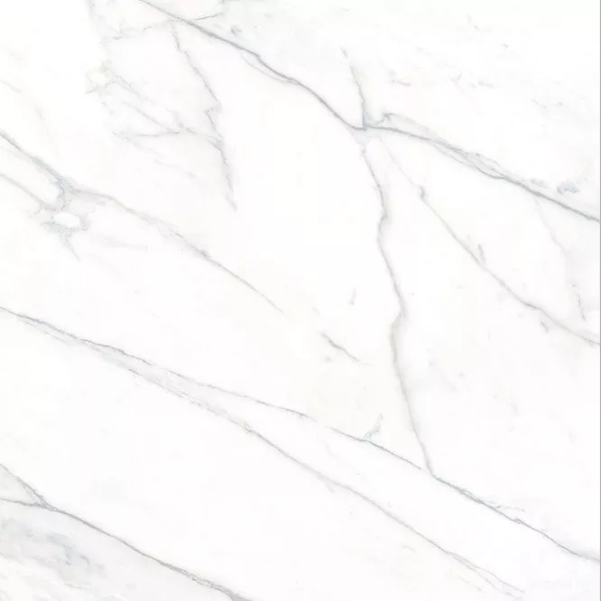 Carrara Rect. 60x60