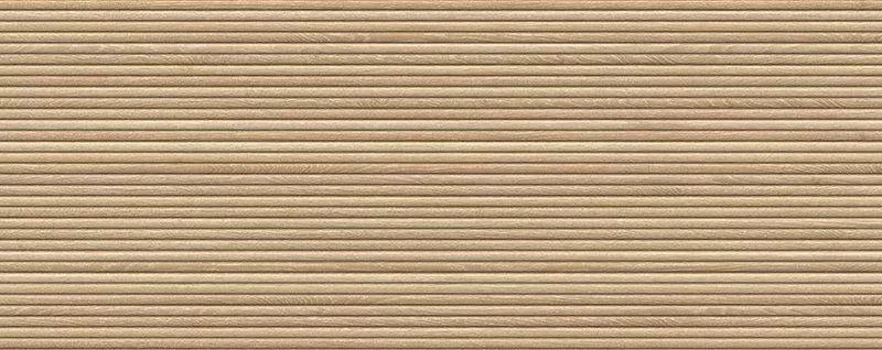 Canal Roble 59.6x150