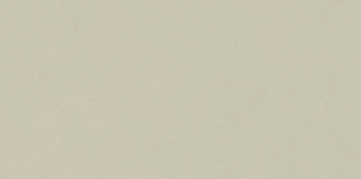 Ivory Brushed Mate Rect 60x120