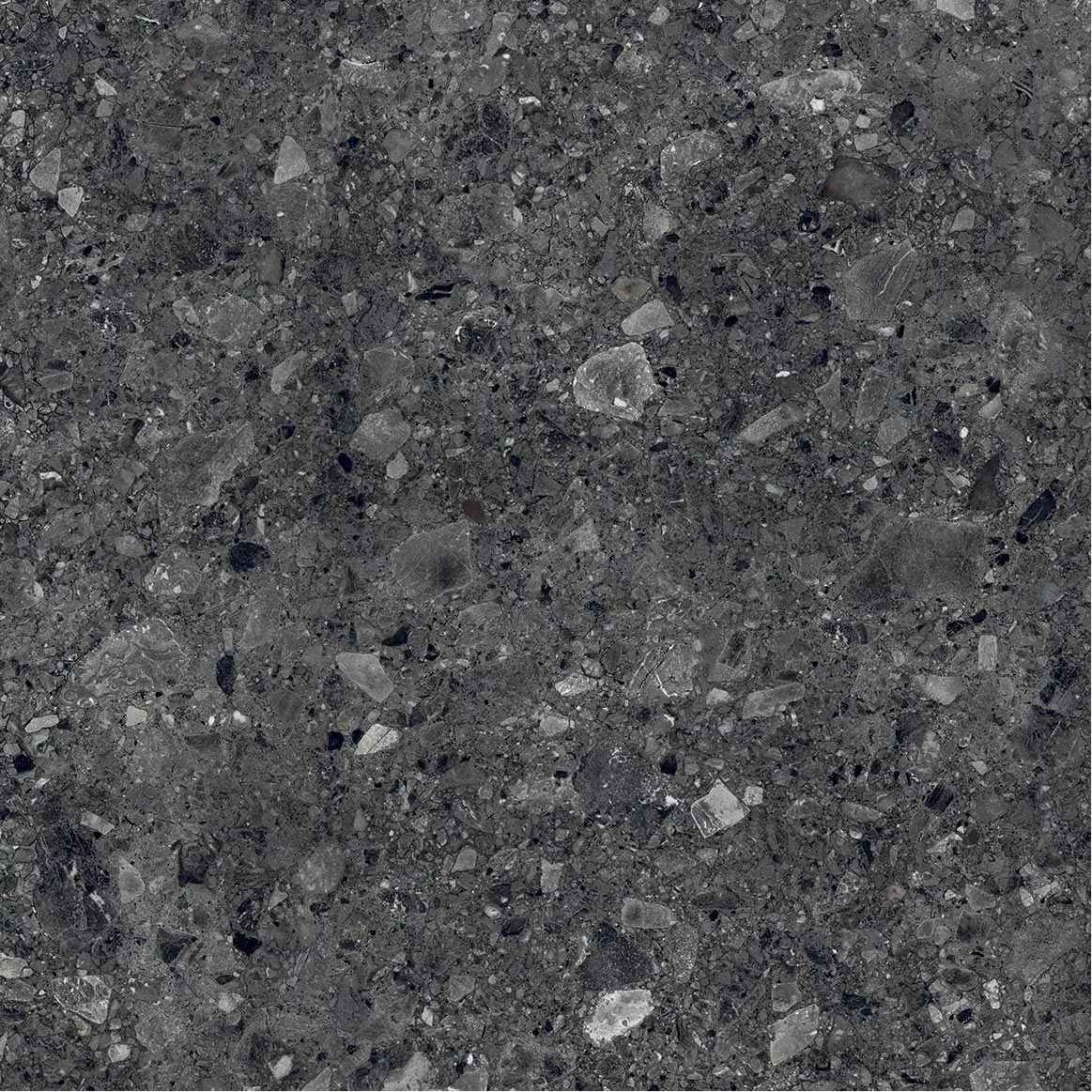 Terrazo Nero 20mm 60x60