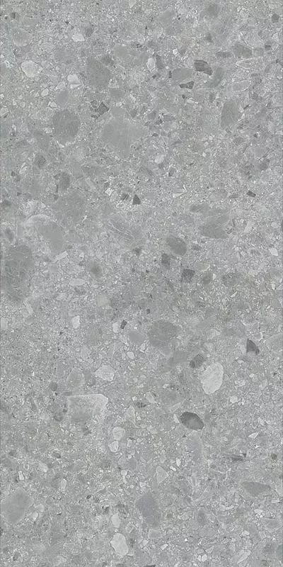 Gris Sand Coloured Body 60x120