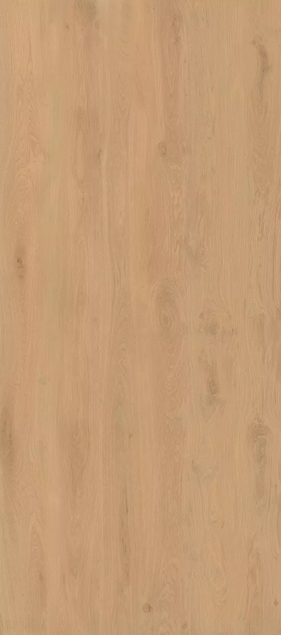 Icon Oak Matt 120x278