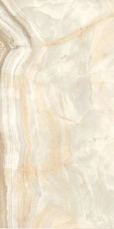Safari Glossy 60x120
