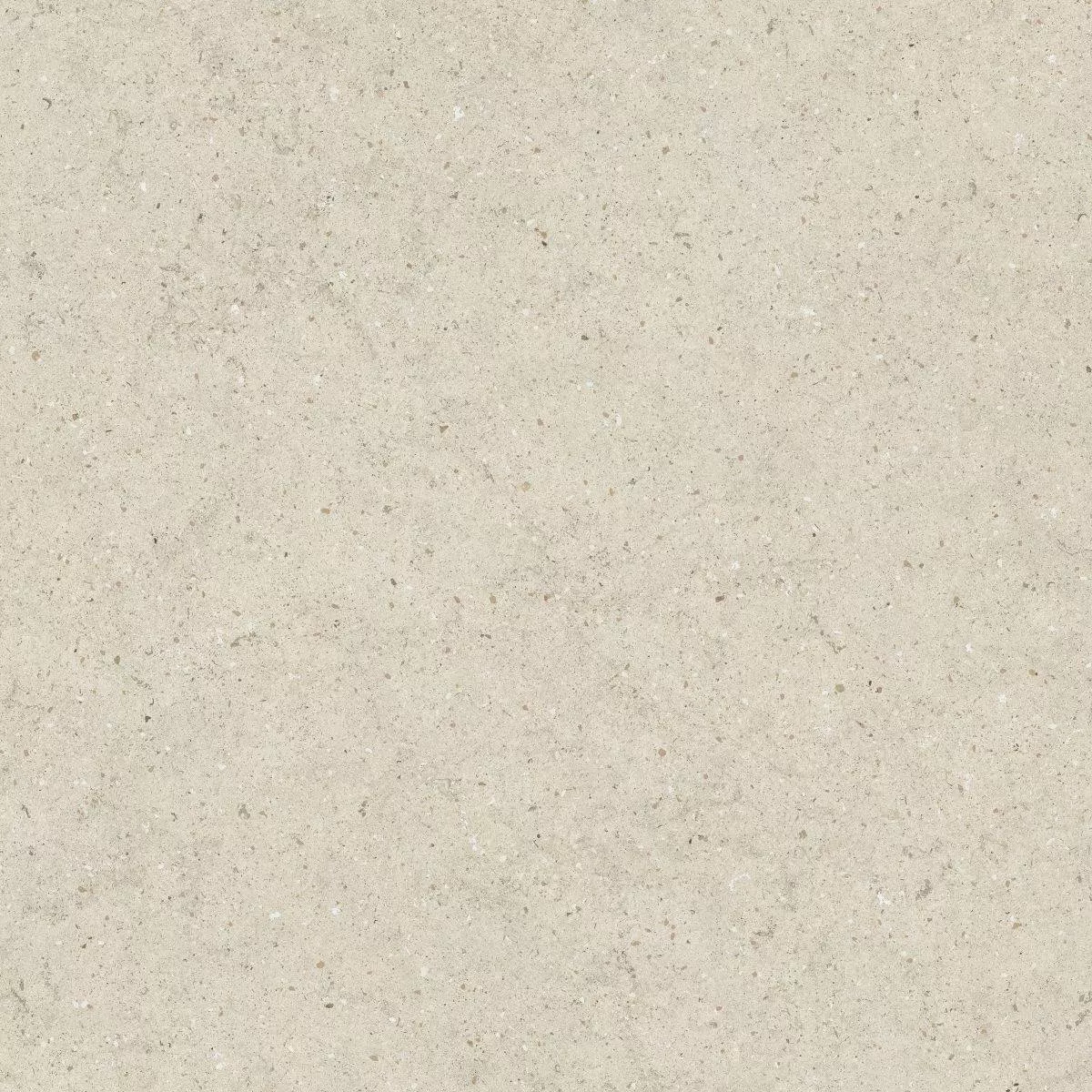 Stone Pure Matt Rect 80x80
