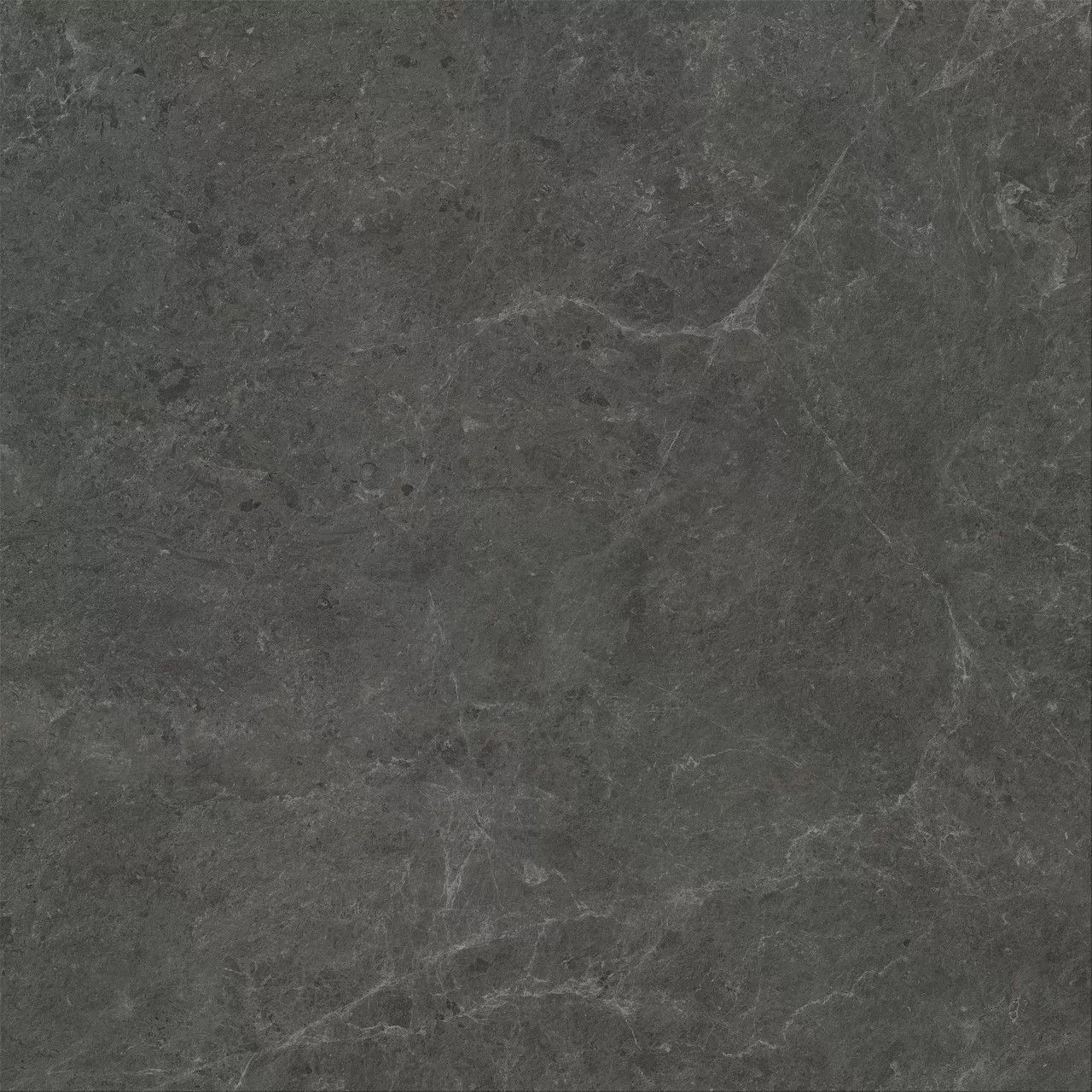 Charcoal Matt Sensitech 120x120