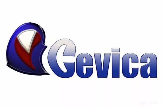 Cevica