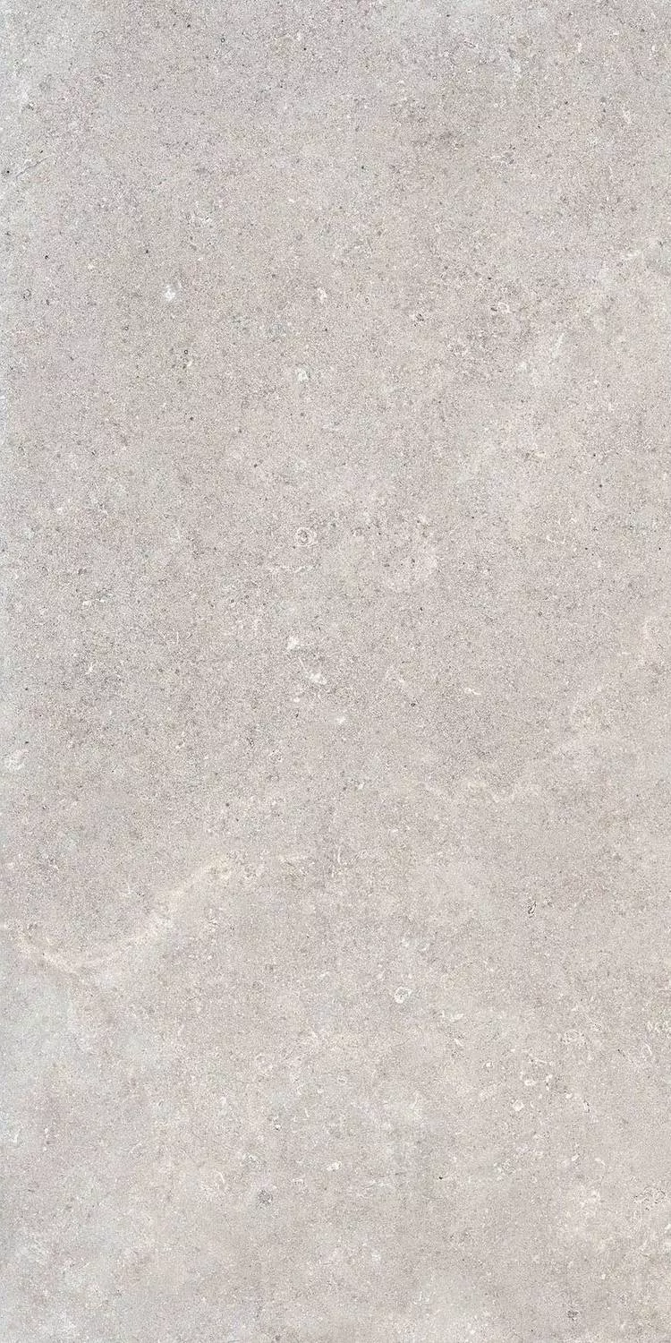 Gris Matt Pro R 60x120