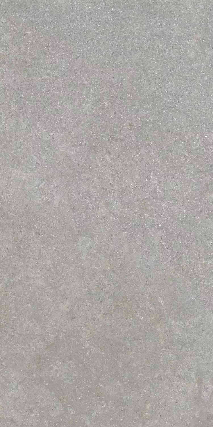 Серый Mat R10A 8mm 60x120