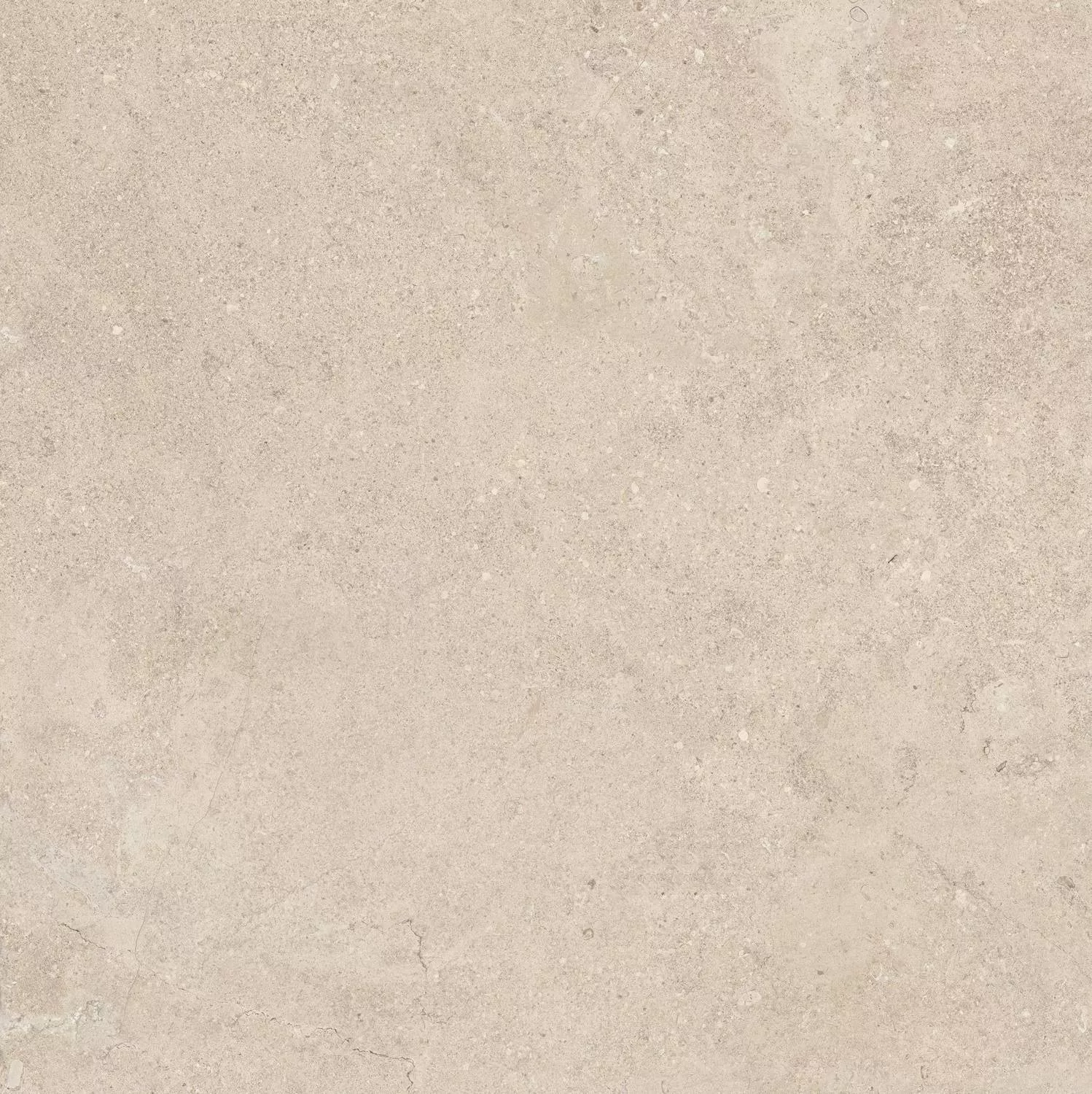 Beige SP R 100x100