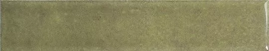 Liquen Gloss 3x16