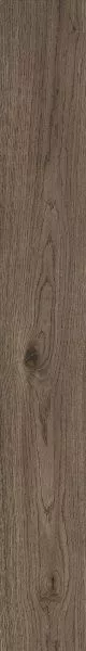 Castano Rett 20x150