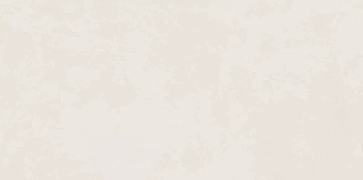 Color Moonlit Brushed Rect 60x120