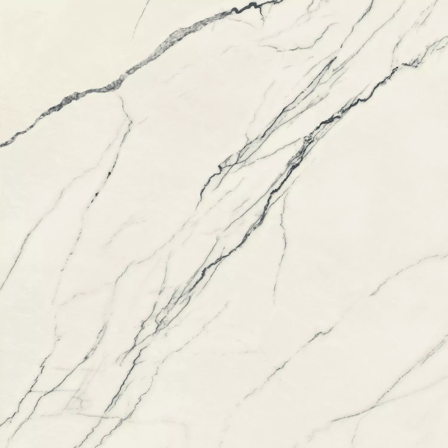 Lilac Mat Rett 120x120