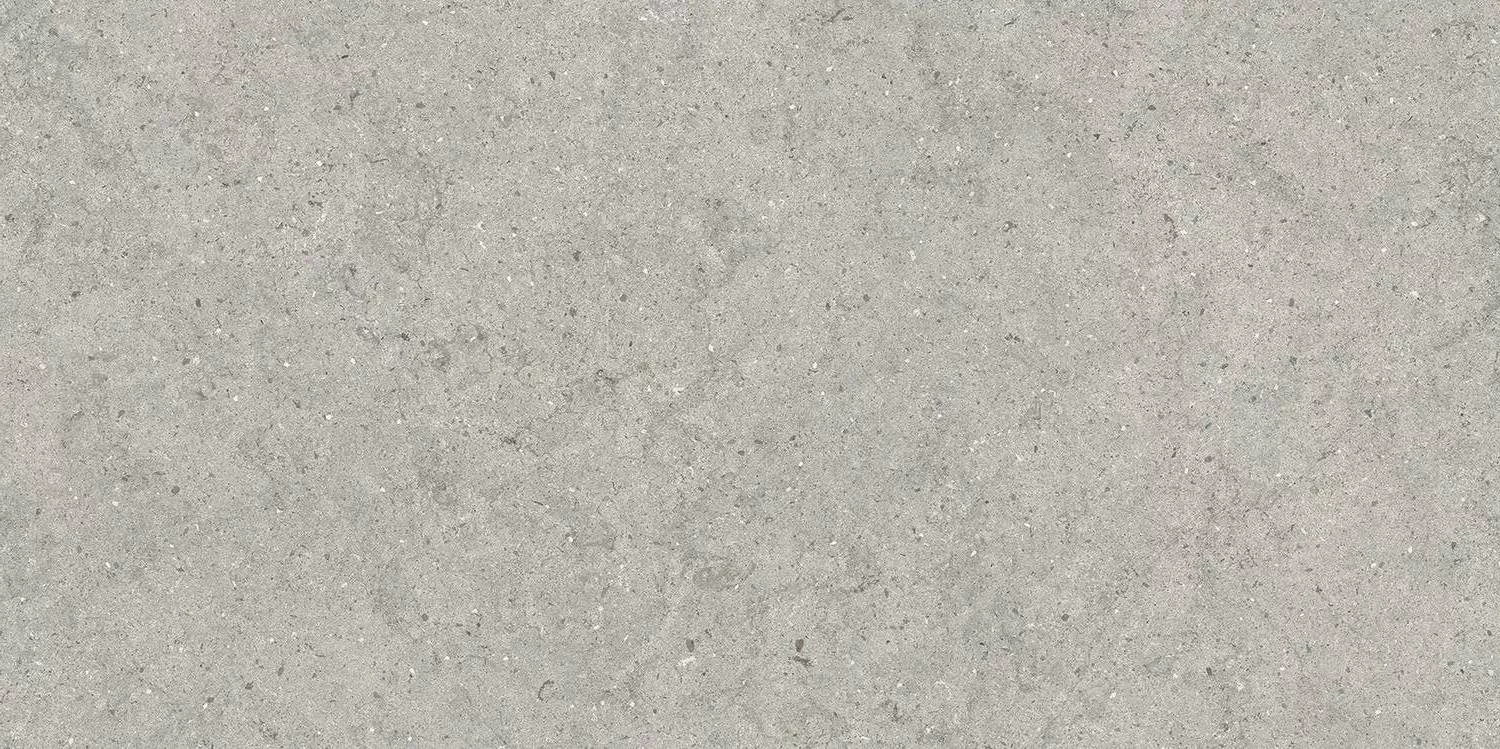 Stone Silver Matt Rect 60x120