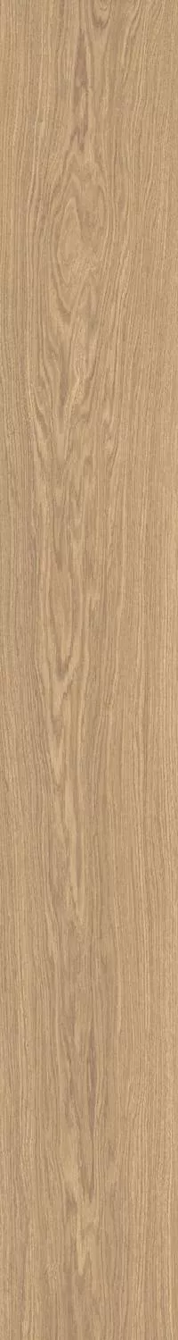 Apricot6 2015 20x150