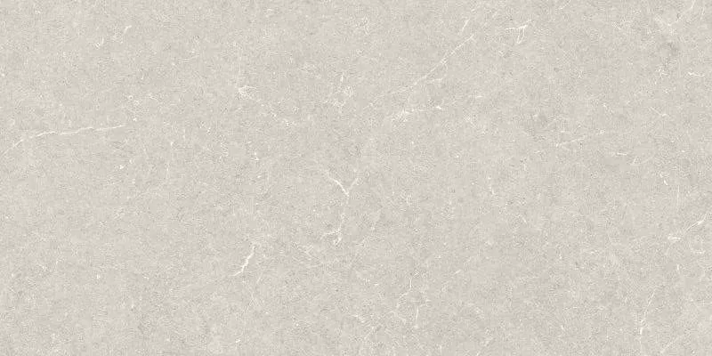 Ivory Matt Rect 60x120