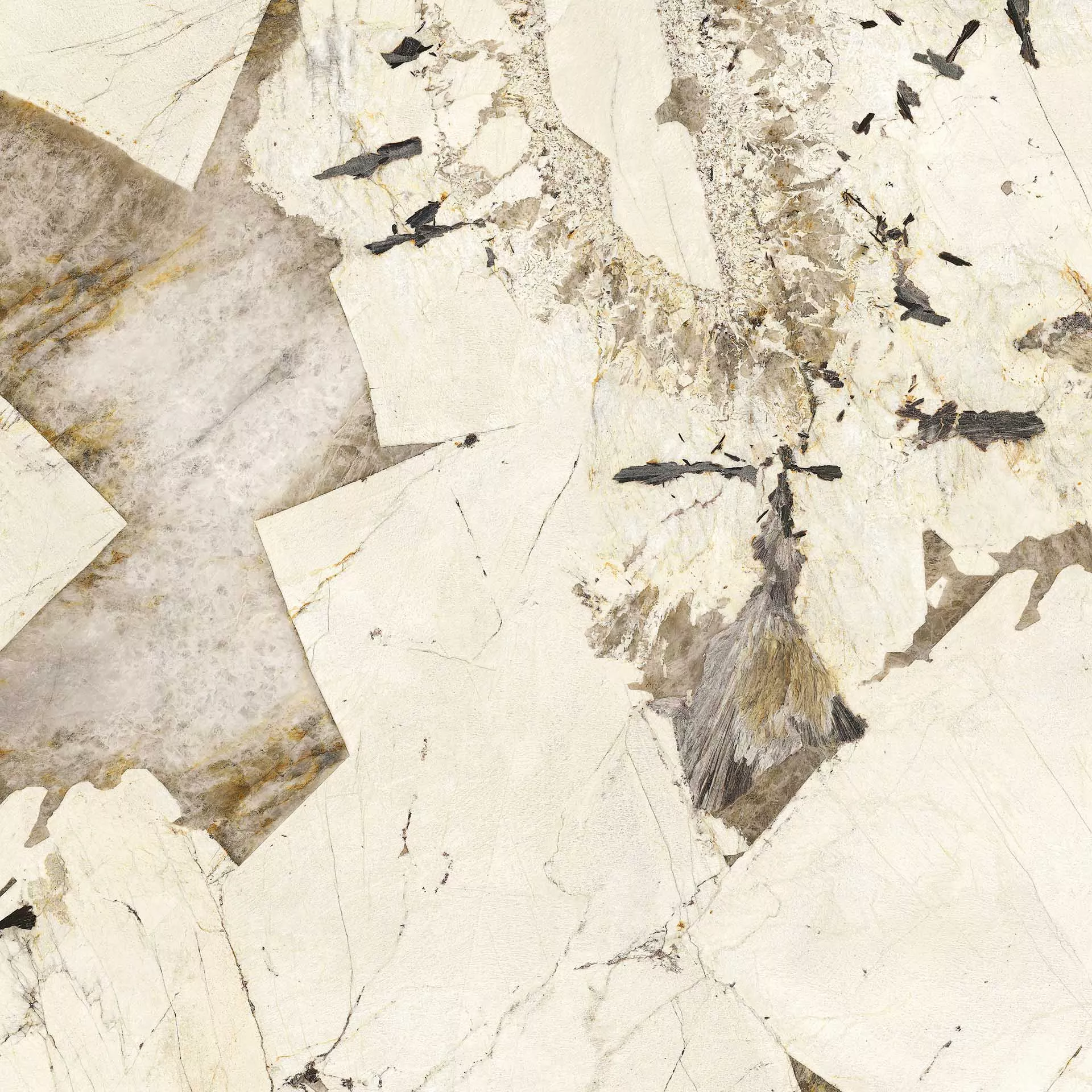 Patagonia Naturale 120x120