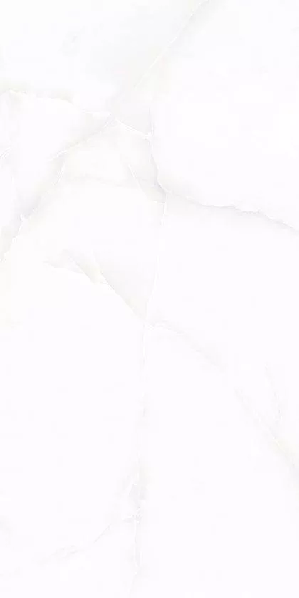 Liola White Matt 60x120