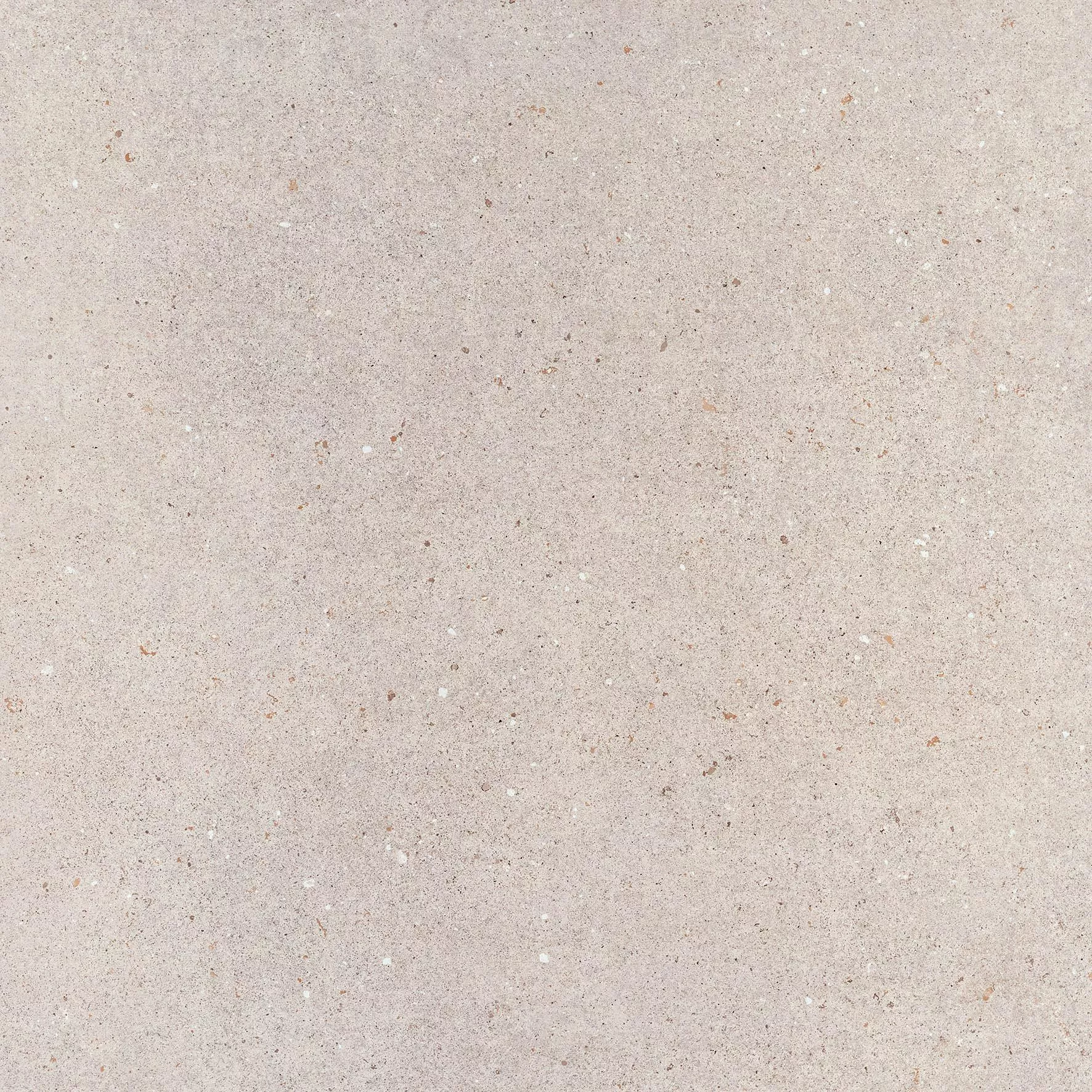 Taupe 120x120